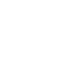 Judicial Review of Government Action